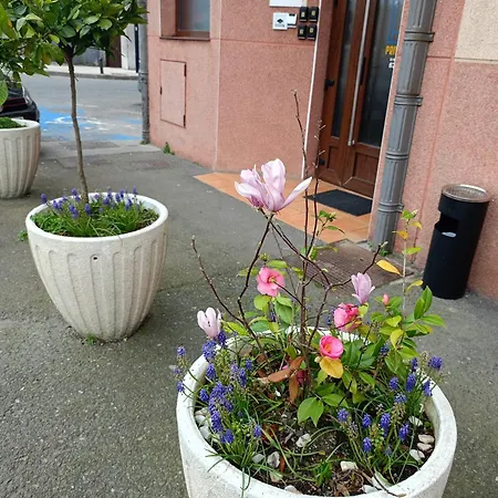 Guest house Urola 3*