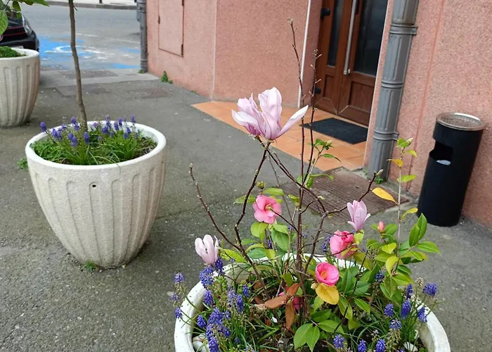 Guest house Urola 3*